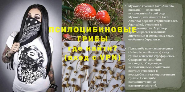 мяу мяу мука Алзамай