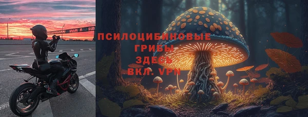 ешки Алексин
